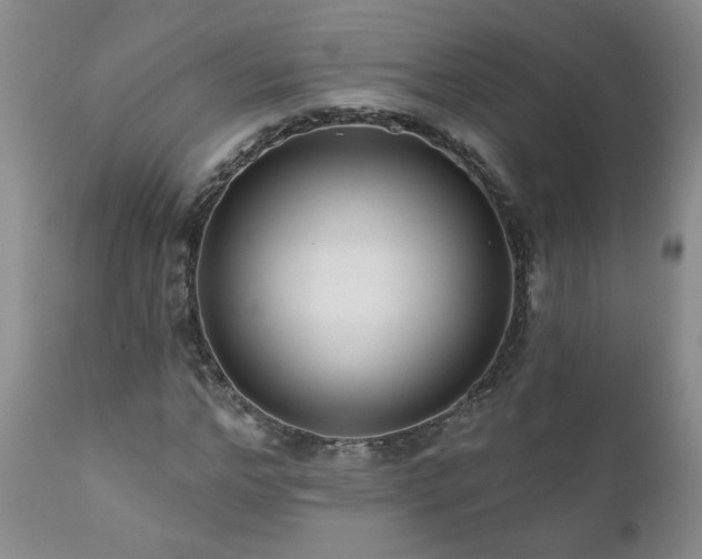 X0000111160968200906301356