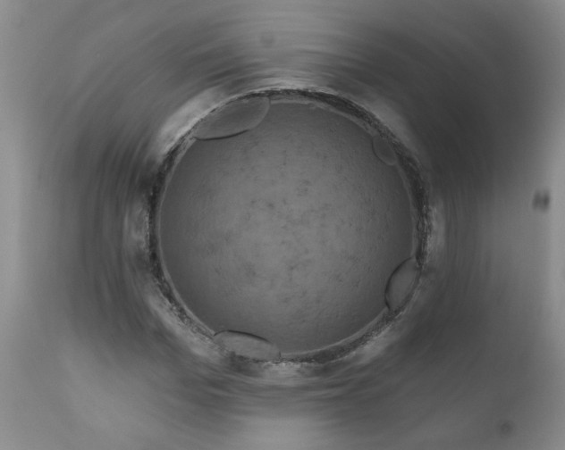 X0000111160969200906301356
