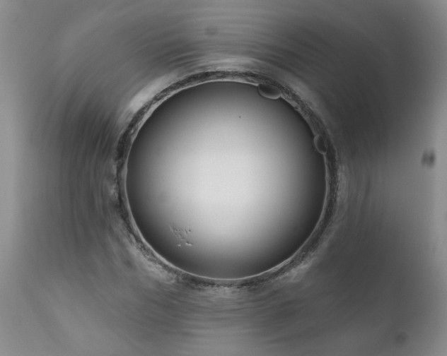 X0000111160970200906301356