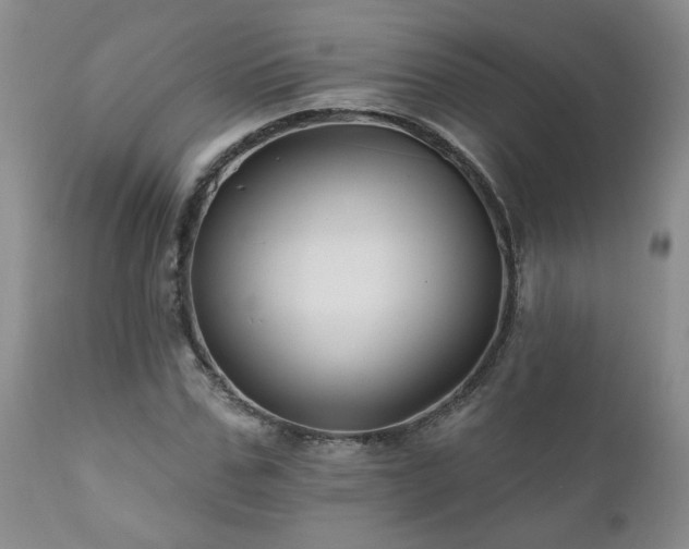 X0000111160971200906301356