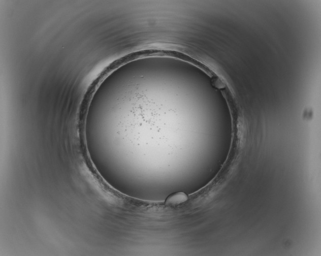 X0000111160972200906301356