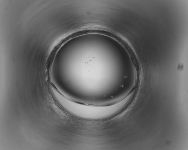 X0000111160973200906301356