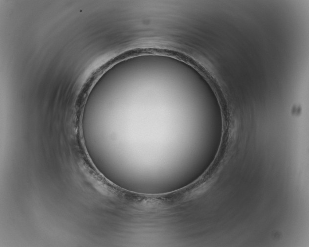 X0000111160974200906301356