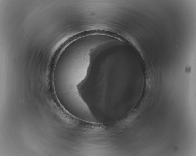 X0000111160975200906301356