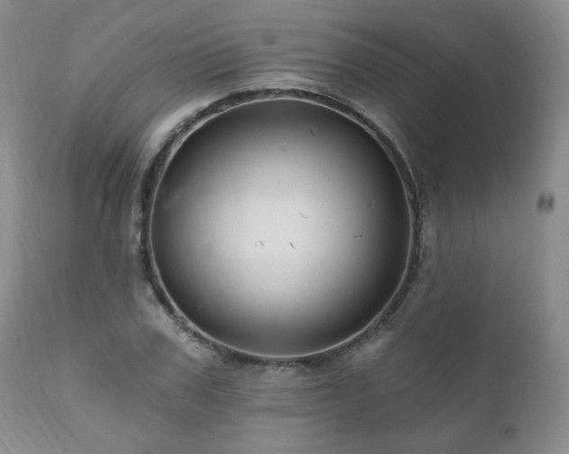 X0000111160979200906301356