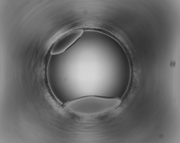 X0000111160981200906301356