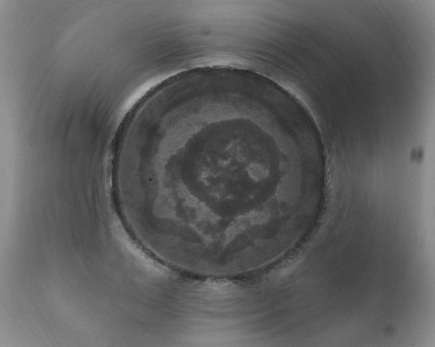 X0000111160983200906301356