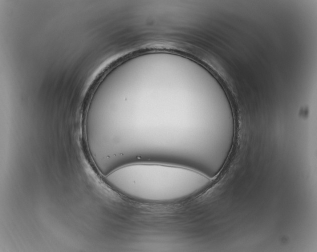 X0000111160984200906301356