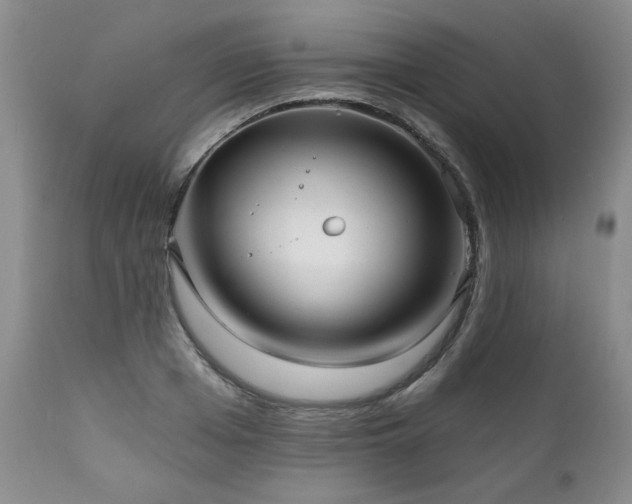 X0000111160985200906301356