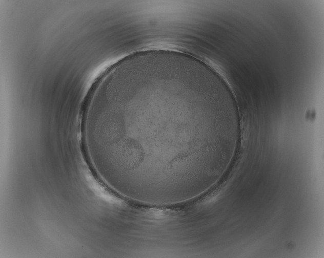 X0000111160987200906301356