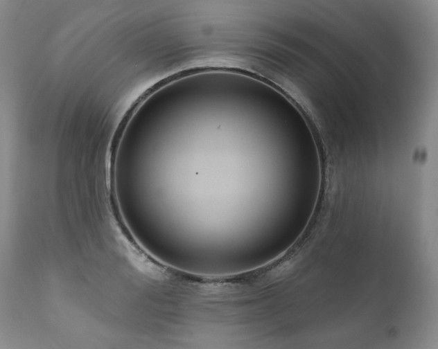 X0000111160988200906301356
