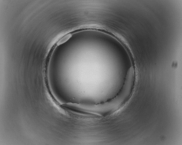 X0000111160989200906301356