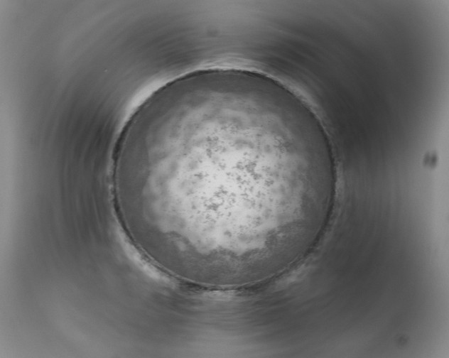 X0000111160990200906301356