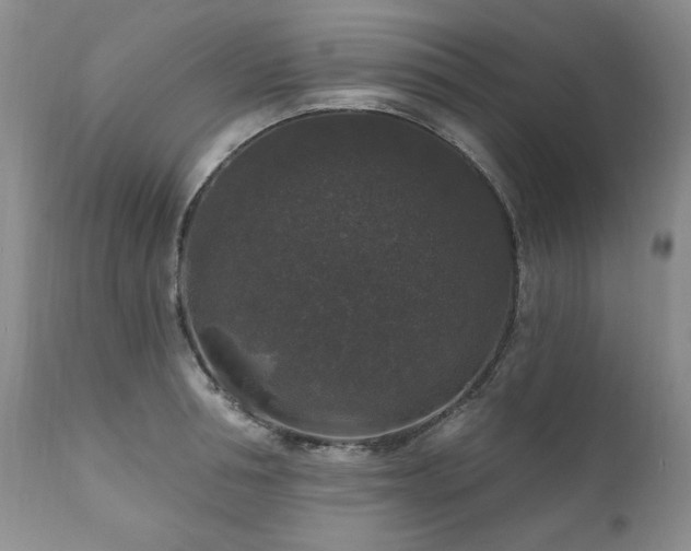 X0000111160994200906301356
