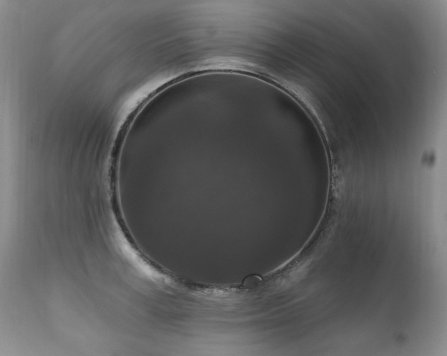 X0000111160995200906301356