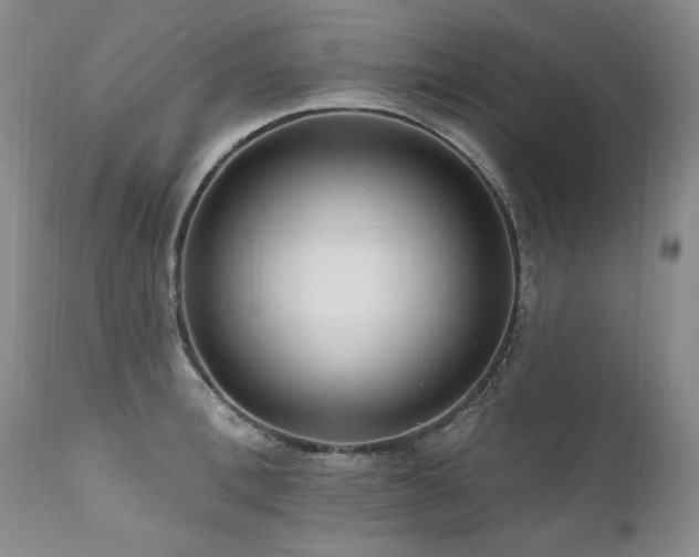 X0000111160996200906301356