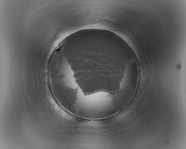 X0000111160998200906301356