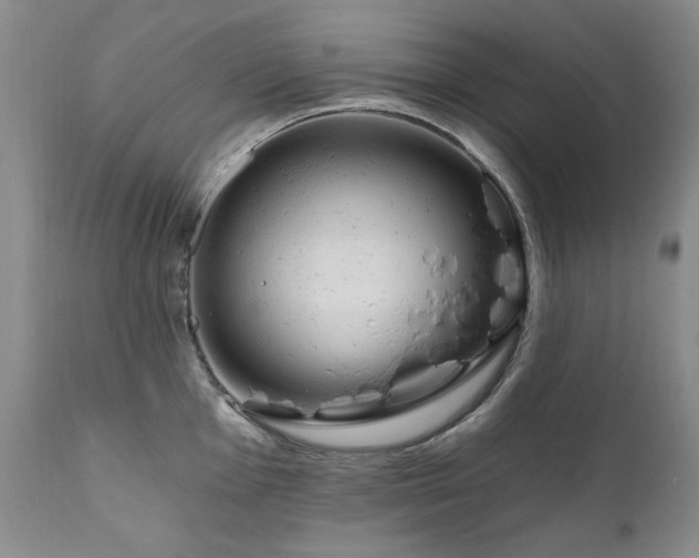 X0000111161001200906301356
