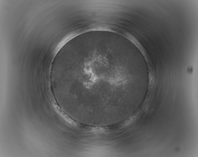 X0000111161002200906301356