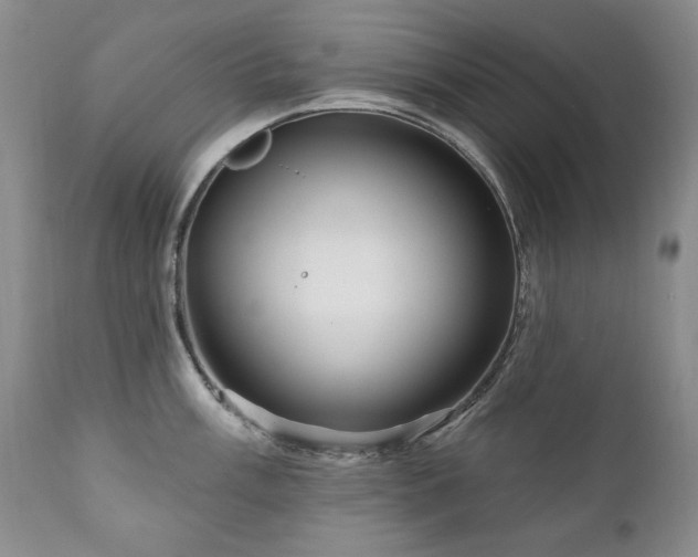 X0000111161003200906301356