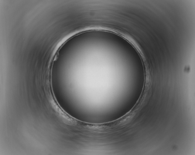 X0000111161004200906301356