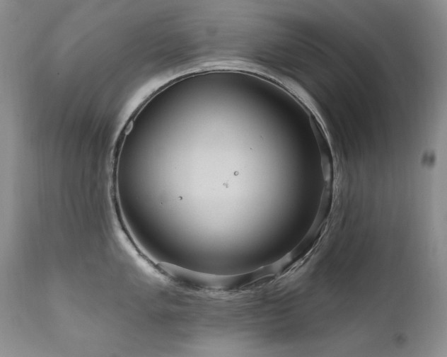X0000111161005200906301356