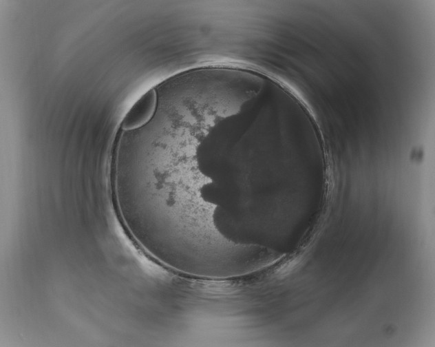 X0000111161007200906301356