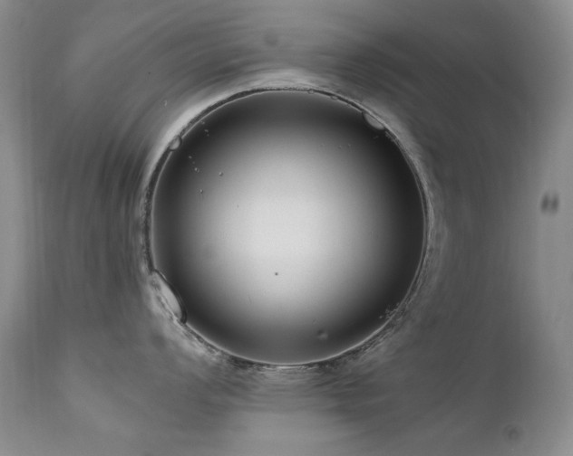 X0000111161008200906301356