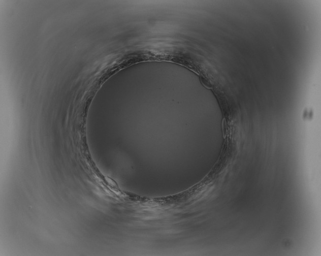 X0000111161009200906301355
