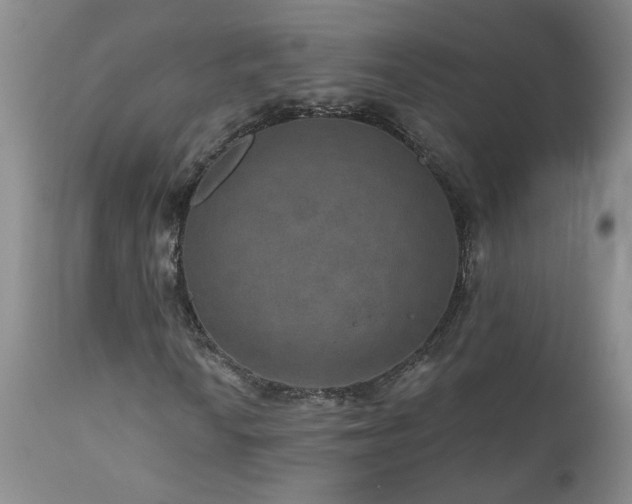 X0000111161010200906301355