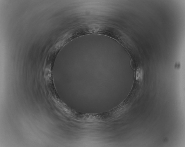 X0000111161011200906301355