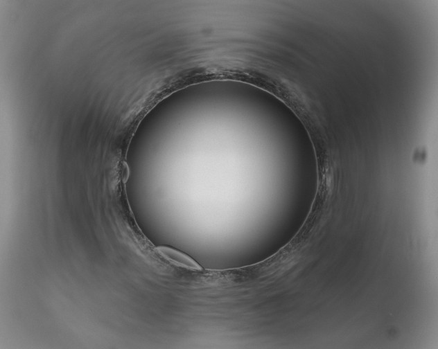 X0000111161012200906301355