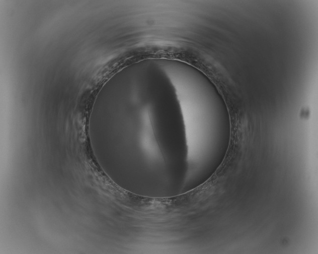 X0000111161013200906301355