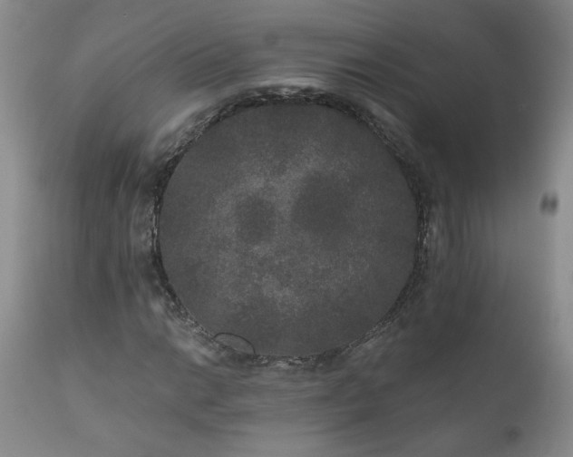 X0000111161014200906301355