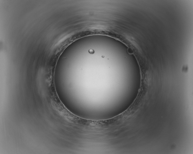X0000111161015200906301355