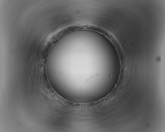 X0000111161016200906301355