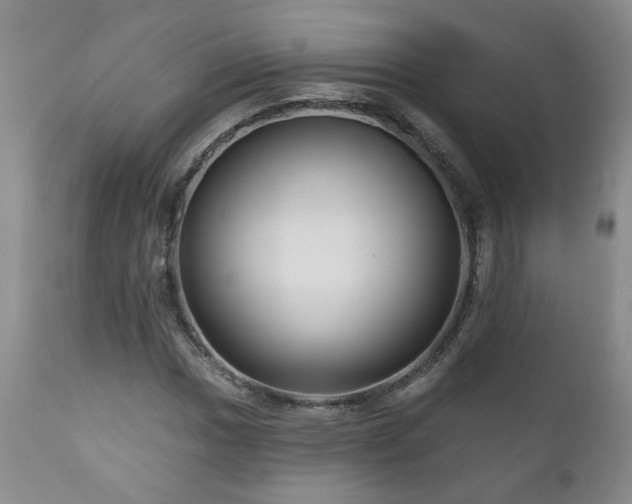 X0000111161017200906301355