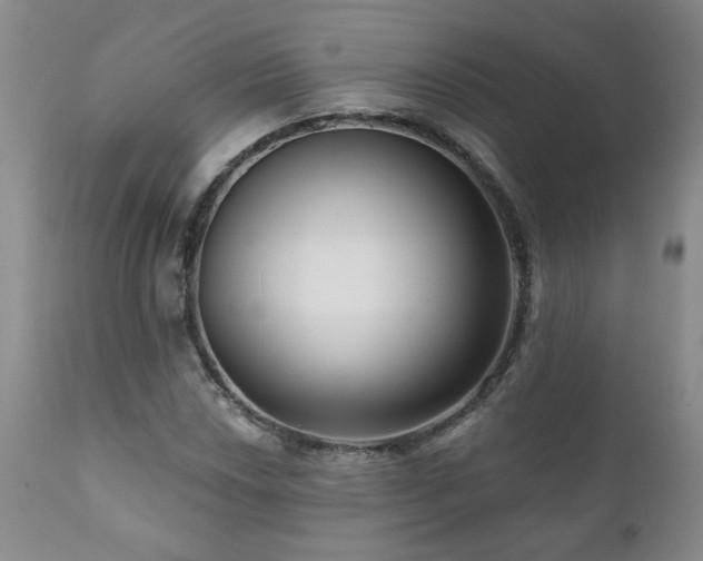 X0000111161018200906301355