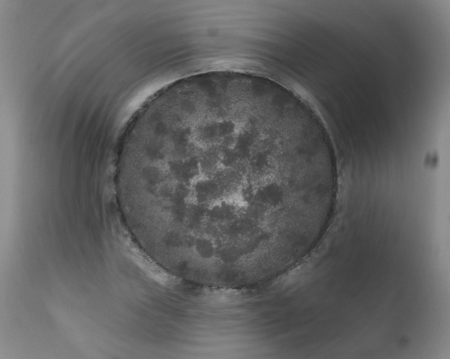 X0000111161019200906301355
