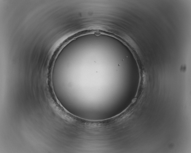 X0000111161020200906301355