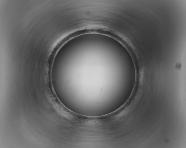 X0000111161021200906301355