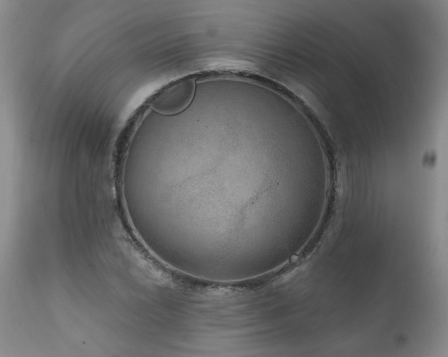 X0000111161022200906301355