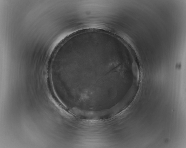 X0000111161024200906301355