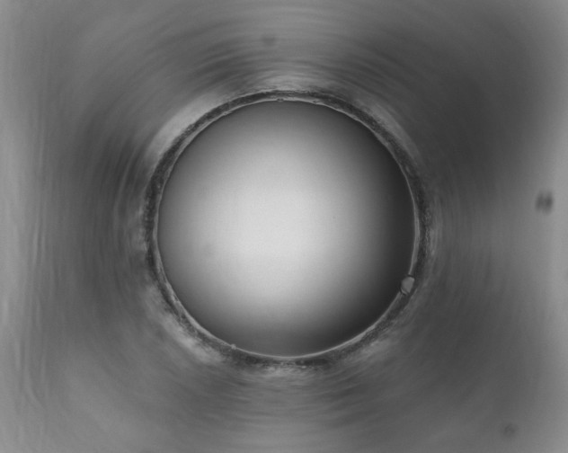 X0000111161026200906301355