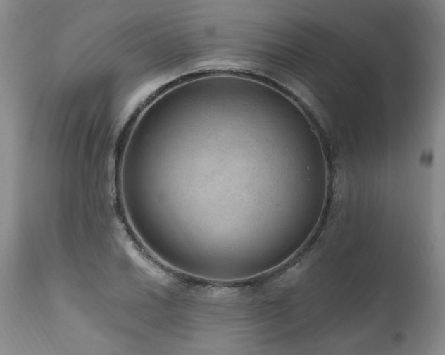 X0000111161030200906301355