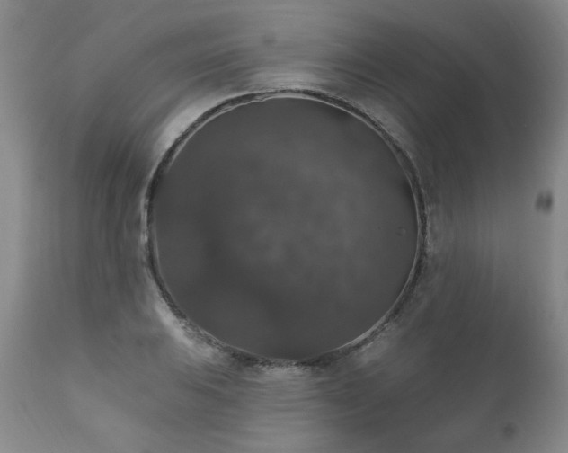 X0000111161031200906301355