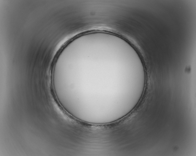 X0000111161032200906301355