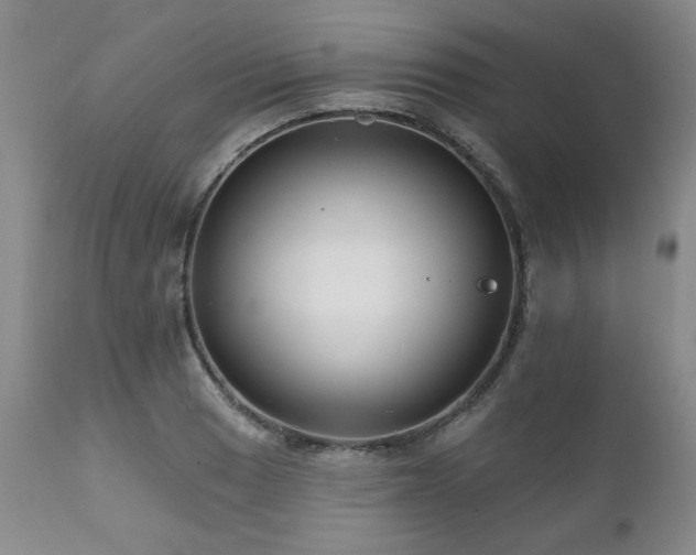 X0000111161033200906301355