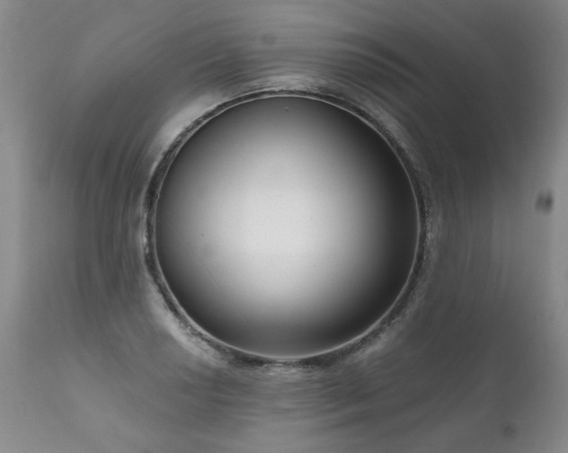 X0000111161034200906301355