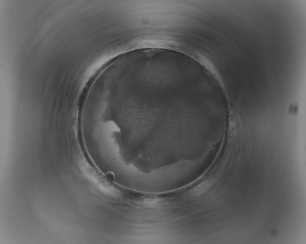 X0000111161035200906301355